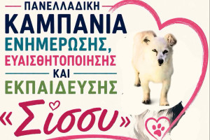 Ηλεία: Η Σίσσυ χάθηκε, αλλά μπορεί να γίνει σύμβολο αλλαγής- Πρόταση από την ΠΦΠΟ για την «Καμπάνια Σίσσυ» στον Δήμο Πηνειού