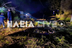 Λούβρο Ολυμπίας: Έκλεισε ο δρόμος από πτώση δέντρων