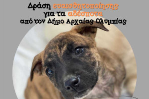 Στο Νηπιαγωγείο Αρχ. Ολυμπίας συνεχίζεται η δράση ευαισθητοποίησης για τα αδέσποτα ζώα