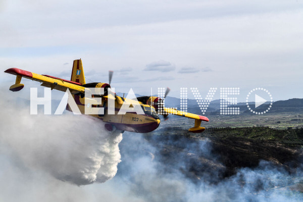 Πυρκαγιές: Καλύτερη εικόνα σε Τροιζηνία, Πρέβεζα, οριοθετήθηκε στην Μεσσηνία