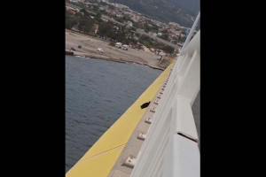 «Θα ανέβει μόνη της»: Γάτα έπεσε από τη γέφυρα Ρίου-Αντιρρίου - Καταγγελίες για αδιαφορία των αρμόδιων