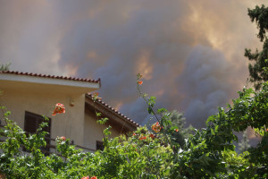 Φωτιά στην Αττικοβοιωτία: Καίγονται σπίτια στο Κρύο Πηγάδι - Μεγάλες αναζωπυρώσεις στα Βίλια