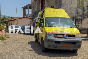 Ράχες Κρεστένων: Τραγικός θάνατος για τον 62χρονο Ρήγα Κάγκουρα με αλυσοπρίονο