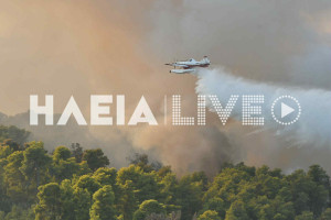 Ηλεία: Υπό έλεγχο οι αναζωπυρώσεις - Βελτιωμένη η εικόνα στο Χελιδόνι