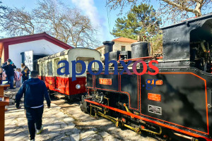 Καλάβρυτα: Με λαμπρότητα ξεκίνησαν οι εορτασμοί για τα 130 χρόνια του Οδοντωτού Σιδηροδρόμου