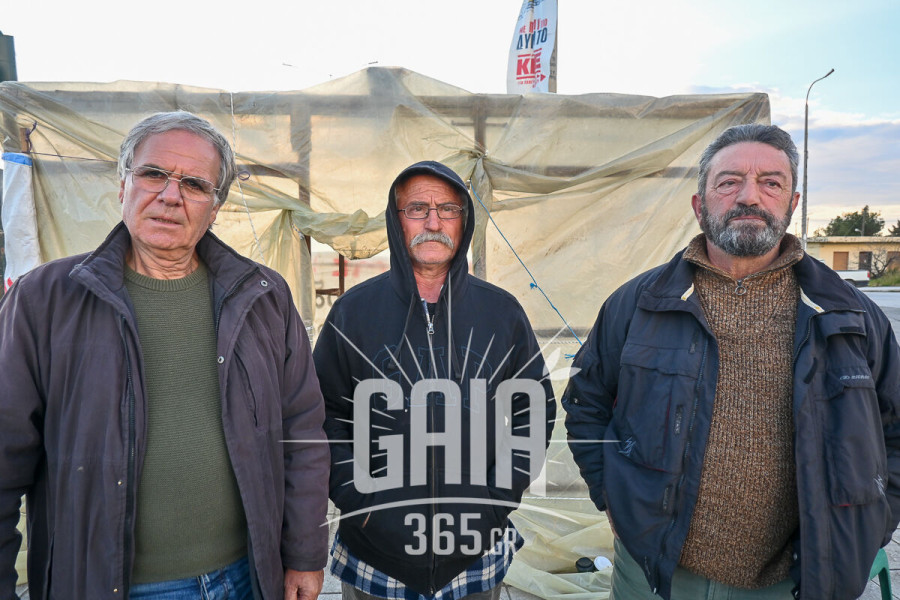 Ηλεία: Απογοητευμένοι αλλά και αποφασισμένοι οι αγρότες να μην εγκαταλείψουν - Κάλεσμα για μαζική συμμετοχή στο συλλαλητήριο της 28ης Φεβρουαρίου