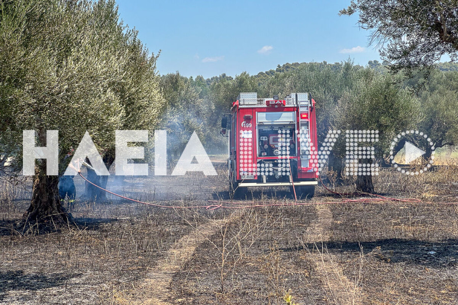 Eμπρησμοί από αμέλεια: Πρωταθλήτρια στην χώρα η Ηλεία το 2025