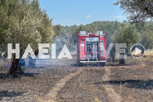 Eμπρησμοί από αμέλεια: Πρωταθλήτρια στην χώρα η Ηλεία το 2025