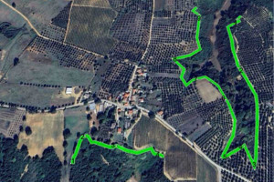 Ολοκληρώθηκε η αντιπυρική θωράκιση του Δήμου Πηνειού στο πλαίσιο του προγράμματος «Προστασία και Αναβάθμιση Δασών 2024»