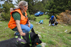 Εθνική Ημέρα Δράσης κατά των Δηλητηριασμένων Δολωμάτων: Στην πρώτη γραμμή οι τετράποδοι φύλακες της αγρίας ζωής του ΟΦΥΠΕΚΑ