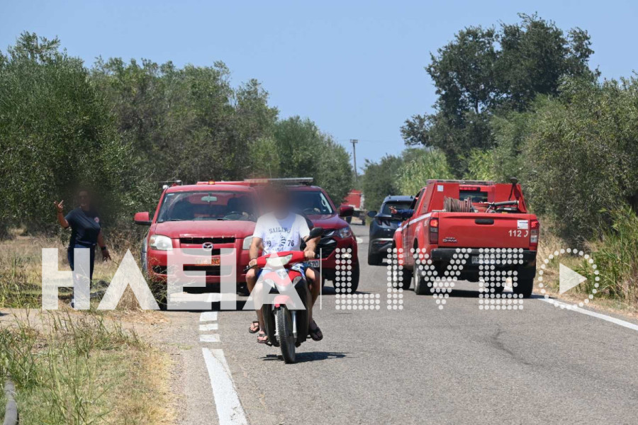 Ηλεία: Άμεση η κατάσβεση της πυρκαγιάς στο Χάβαρι Αμαλιάδας - Παραμένουν στο σημείο οι δυνάμεις πυρόσβεσης