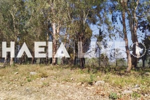 Δασαρχείο Αμαλιάδας: Επιχείρηση «σκούπα» στα δάση Θινών και Ανάληψης