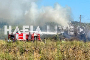 Ηλεία: Συναγερμός για πυρκαγιά στην είσοδο του Πλουτοχωρίου