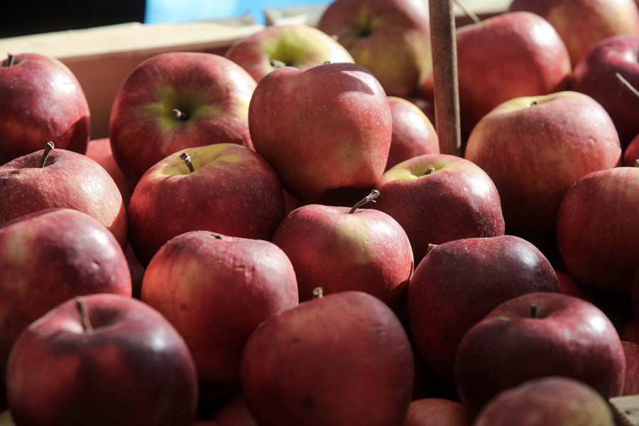 Μήλο: Αυτός είναι ο καλύτερος συνδυασμός για περισσότερη ενέργεια
