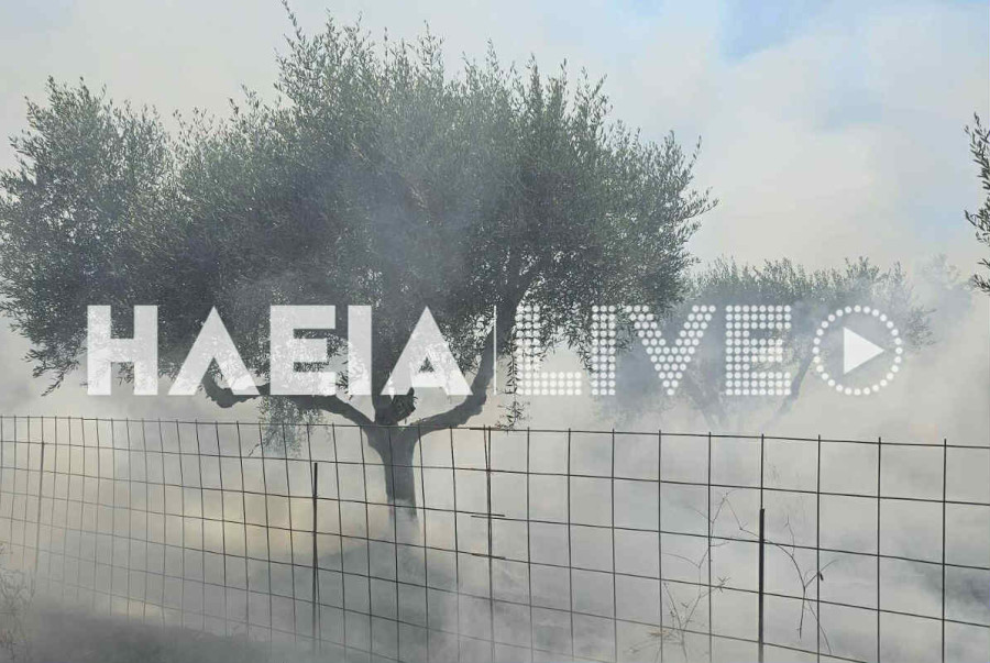 Αμαλιάδα: Πυρκαγιά έκαψε 10 στρέμματα αγροτικής έκτασης
