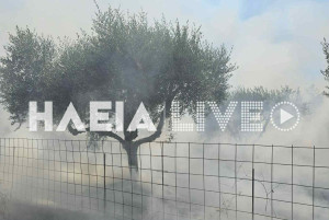 Αμαλιάδα: Πυρκαγιά έκαψε 10 στρέμματα αγροτικής έκτασης