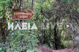 Νέδα: Νέο ατύχημα κοντά στους καταράκτες - 10χρονο παιδί έπεσε από ύψος 25 μέτρων σε χαράδρα