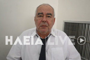 Γαστούνη: «Ήταν ατύχημα – δεν υπήρχε πρόθεση», υποστηρίζει η υπεράσπιση της 60χρονης οδηγού που πάτησε το σκυλάκι