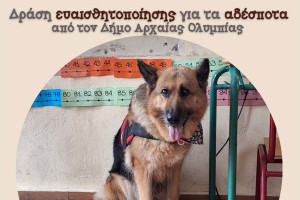 Σε Χελιδόνι και Πελόπιο συνεχίζεται η δράση ευαισθητοποίησης για τα αδέσποτα