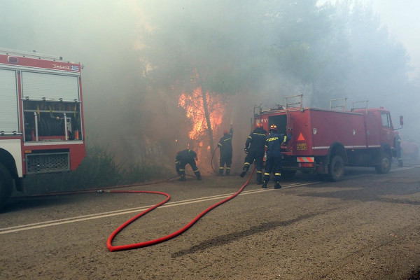 Πύρινα μέτωπα σε Κόνιτσα, Εύβοια, Αλεξανδρούπολη και Δράμα: Συνεχίζεται η μάχη