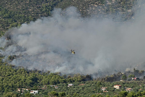Καίγονται σπίτια στην Ψάθα - Οι φλόγες απειλούν οικισμό στη Λούμπα
