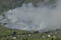 Καίγονται σπίτια στην Ψάθα - Οι φλόγες απειλούν οικισμό στη Λούμπα