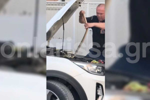 Λάρισα: Πυροσβέστες έβγαλαν φίδι ενάμιση μέτρου από μηχανή αυτοκινήτου - Δείτε βίντεο