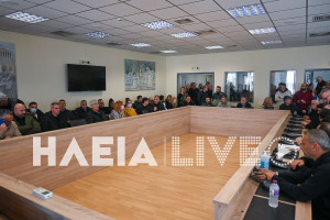 Γαστούνη: Οργή και αγανάκτηση για την παραβατικότητα - Πλήθος κόσμου στην σύσκεψη