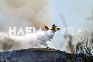 Τα ελληνικά Canadair επιχειρούν στις πυρκαγιές της Πορτογαλίας - Ενίσχυση από 20 δασοκομάντος