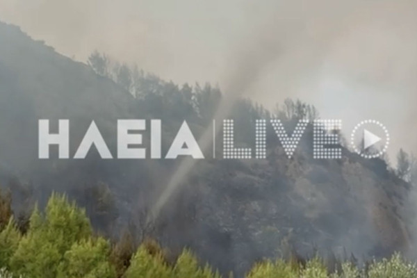 Απίστευτο: Ανεμοστρόβιλος μέσα στο μέτωπο της πυρκαγιάς στο Μουζάκι (video)