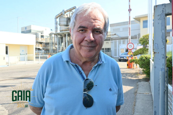 Παρέμβαση Βαλιανάτου: Όχι άλλος παραλογισμός στη διακίνηση της βιομηχανικής τομάτας