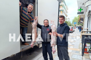 Σύλλογος Κρεοπωλών Ηλείας: Ξεκίνησαν οι παραγγελίες για το πασχαλινό τραπέζι