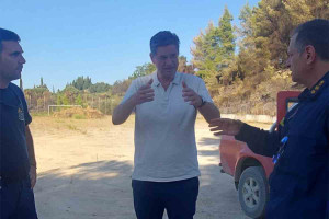 Καλαματιανός: Αποκατάσταση των πυρόπληκτων περιοχών της Ηλείας και άμεσες αποζημιώσεις στους πληγέντες