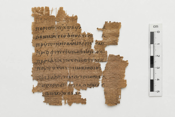 Σπάνιο χειρόγραφο του 300 μ.Χ. από την Ομήρου Οδύσσεια ανακάλυψε ολλανδός μελετητής