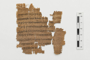 Σπάνιο χειρόγραφο του 300 μ.Χ. από την Ομήρου Οδύσσεια ανακάλυψε ολλανδός μελετητής