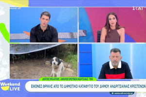 Μπαλιούκος: Δεν αποδέχεται την κατάσταση στο “άτυπο” καταφύγιο αδέσποτων - Επέρριψε ευθύνη στον αρμόδιο υπάλληλο (video)