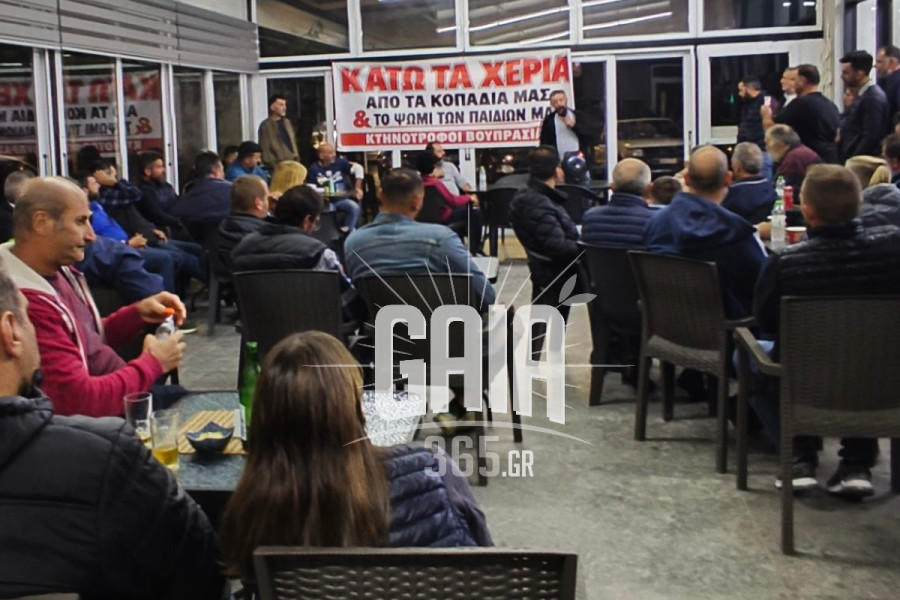 Ηλεία: «Δεν θα επιτρέψουμε τους ελέγχους» - Μαζική συγκέντρωση αγροκτηνοτρόφων στα Λεχαινά και ίδρυση νέου συλλόγου