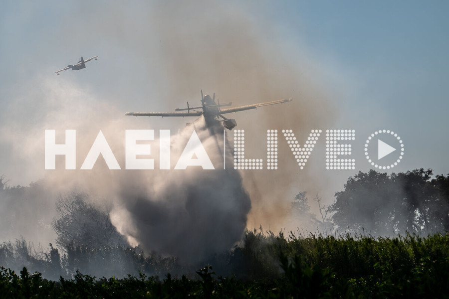 Τραγανό: Συνεχίζεται το έργο της τελικής κατάσβεσης - Στάχτη 70 στρέμματα