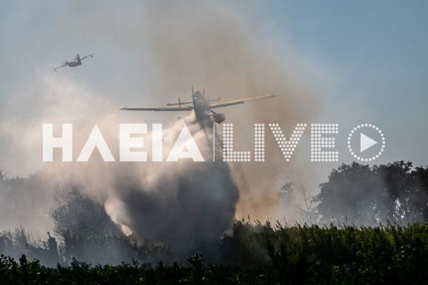 Τραγανό: Συνεχίζεται το έργο της τελικής κατάσβεσης - Στάχτη 70 στρέμματα