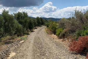 Ηλεία: Έρχονται 26 έργα αγροτικής οδοποιίας με χρηματοδότηση 14,3 εκ. ευρώ για όλους τους Δήμους