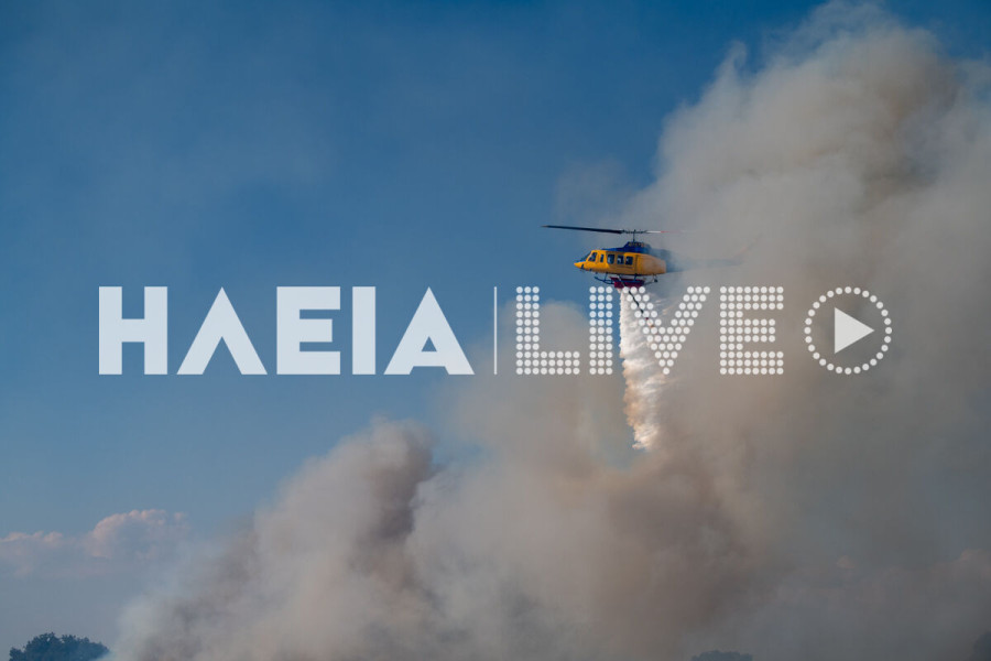 Πυροσβεστική: 42 αγροτοδασικές πυρκαγιές το τελευταίο 24ωρο σε όλη τη χώρα