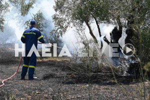 Πύργος: Πυρκαγιά σε εξέλιξη στο δρόμο Λαστέικα - Αγ. Ιωάννη