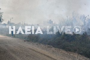 Γαστούνη: Πυρκαγιά έκαψε έκταση δίπλα στη Λάκκα του Χρέπα
