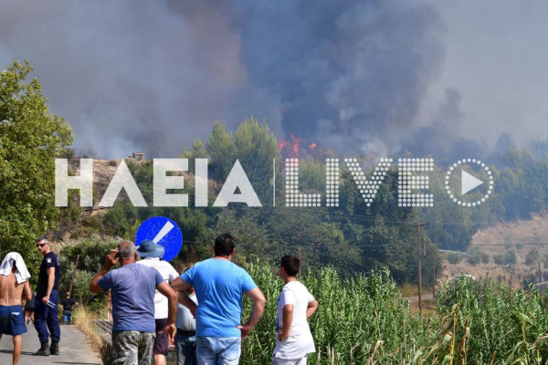 Γραμματικό Λατζοΐου: Ανοιξιάτικη πυρκαγιά κινητοποίησε την Πυροσβεστική