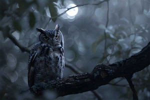 Ποια είναι τα 5 ζώα που έχουμε συνδέσει με τον θάνατο