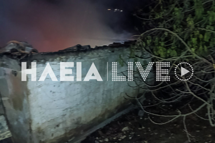 Χρυσοχώρι Ζαχάρως: Πυρκαγιά σε σπίτι δίπλα σε δάσος, κινητοποιεί τις δυνάμεις της Πυροσβεστικής