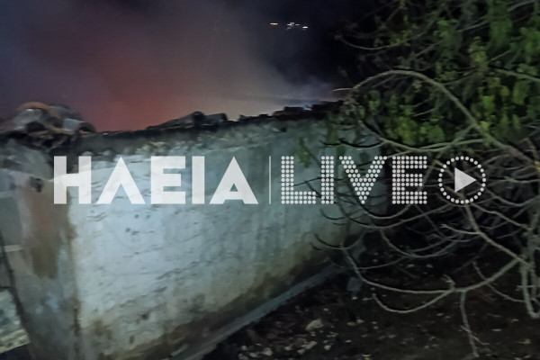 Χρυσοχώρι Ζαχάρως: Πυρκαγιά σε σπίτι δίπλα σε δάσος, κινητοποιεί τις δυνάμεις της Πυροσβεστικής