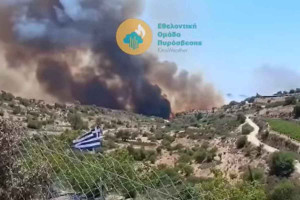 Μεγάλη φωτιά στην Κύπρο: Πύρινη λαίλαπα στη Λεμεσό - Εκκενώνονται οικισμοί, ένας εγκαταυματίας