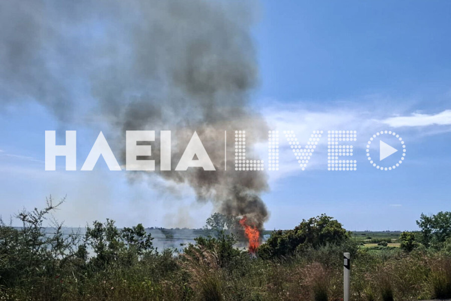 Η φωτιά σε καλαμιώνες στο Αγρίδι δίπλα στην Εθνική Οδό.