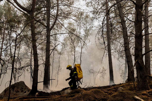 Πυρκαγιά στο Παρίσι: Πάνω από 19.000 στρέμματα του δάσους Φοντενεμπλό έγιναν στάχτη